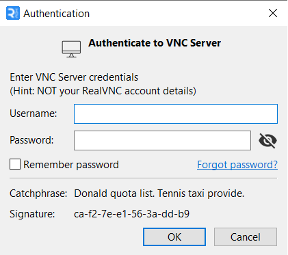 Authenticate Windows.png